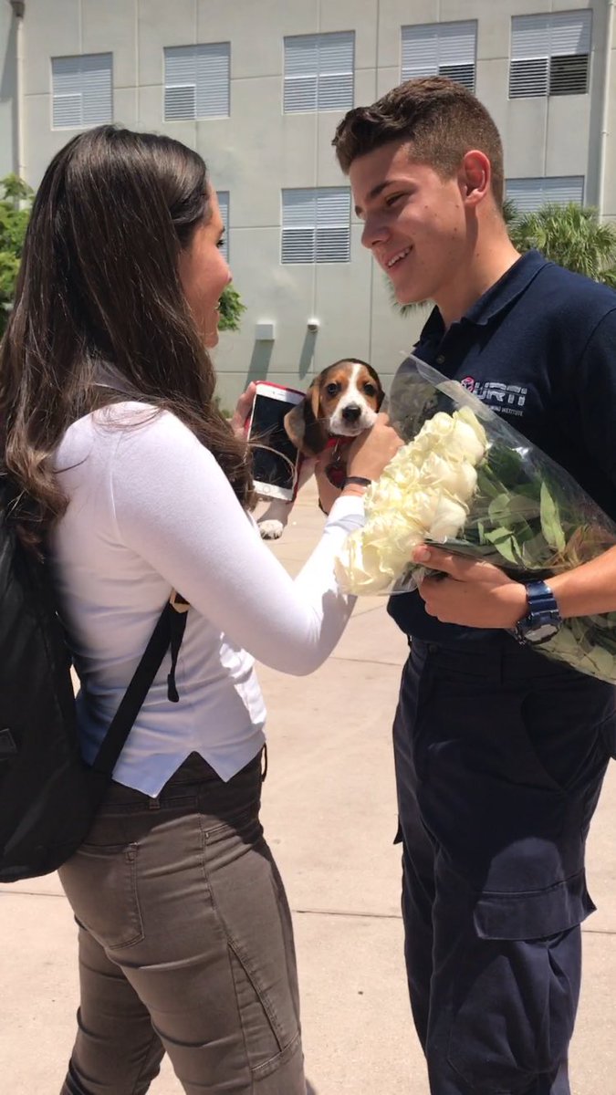 caroprz_'s tweet photo. prom with you would be pawfect🐶🐾 https://t.co/X1fqnRW2g5