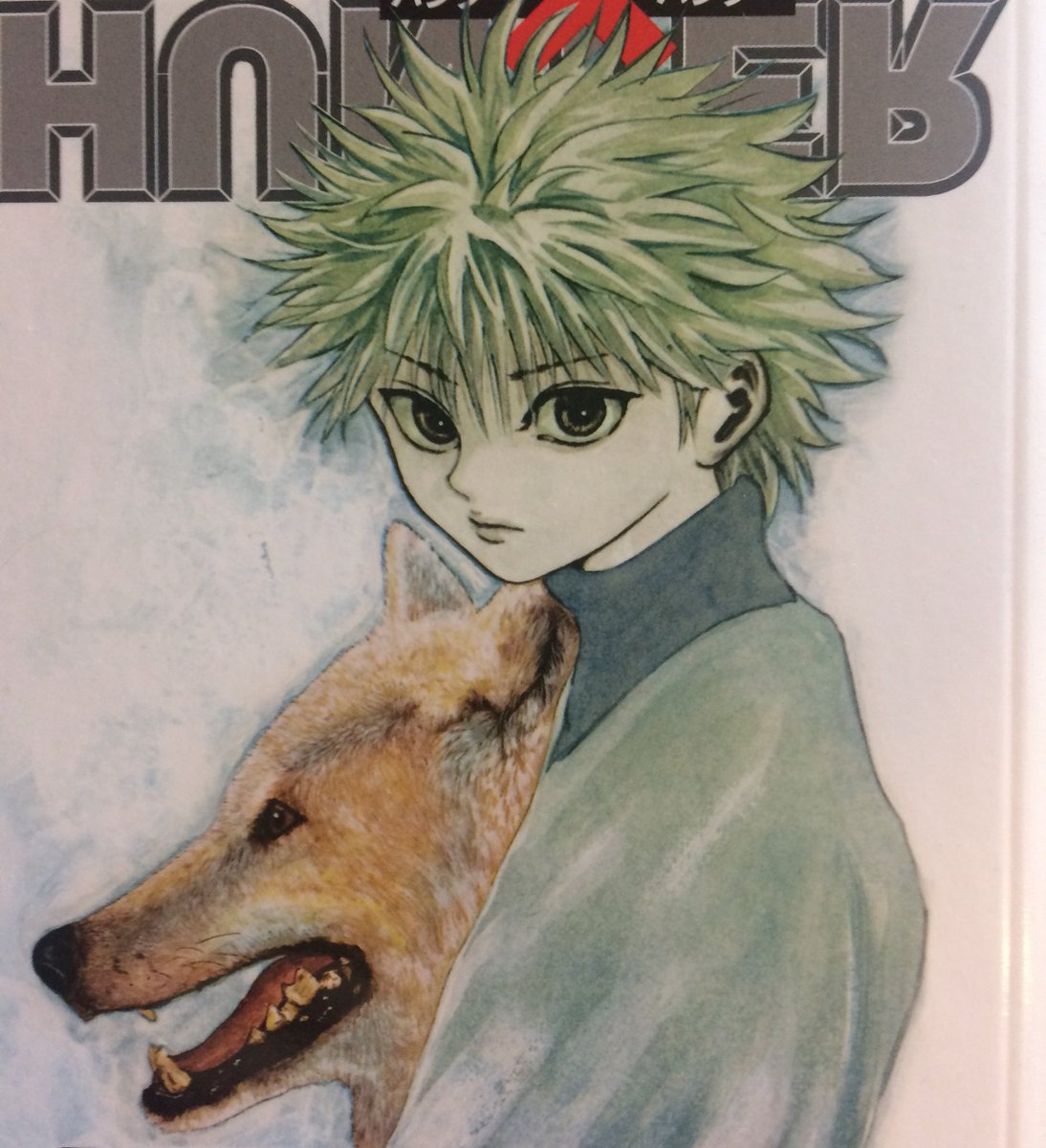 Hunter X Hunter Coloured Manga Hunter X Hunter Killua Manga Cover - Instant-Harry