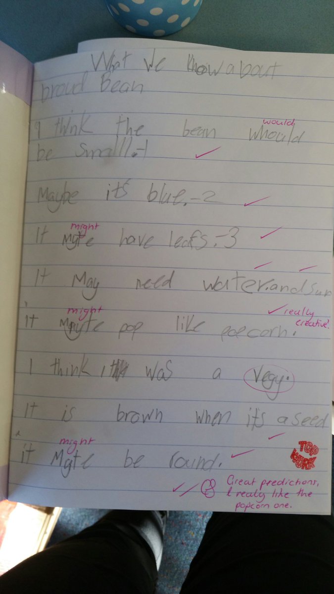 Claire7072's tweet photo. Some interesting predictions on how broad beans grow in stage 2 science #acuedu_p https://t.co/opAcjLicaf