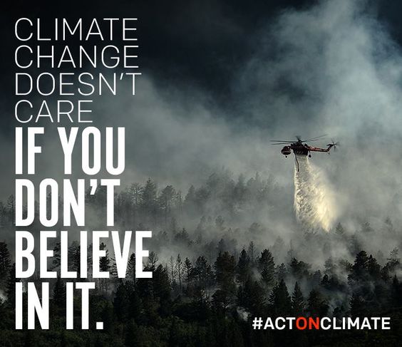 #ClimateChange does't care if you don't believe in it
#Sustainable #Sustainability #Eco #Environment #Nature #Trees #Water #Conservation