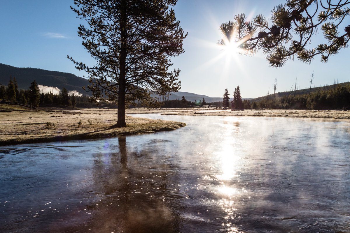 The sun is shining over a scene of the Madison River winding between mountains and trees.