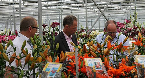 Vervolg voor Lily League dlvr.it/P95MV8