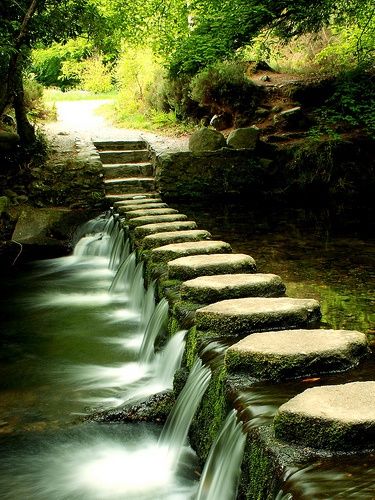 5_Rodon's tweet image. 