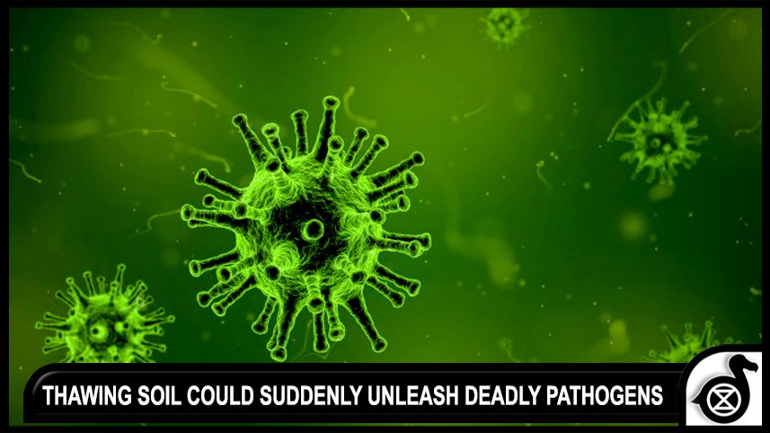 Dodo_Tribe's tweet photo. Scientists warn thawing soil could suddenly unleash deadly pathogens unseen in centuries. #CLIMATECHANGE

https://t.co/McXu1ftyJc https://t.co/C1n3sTKy3Q