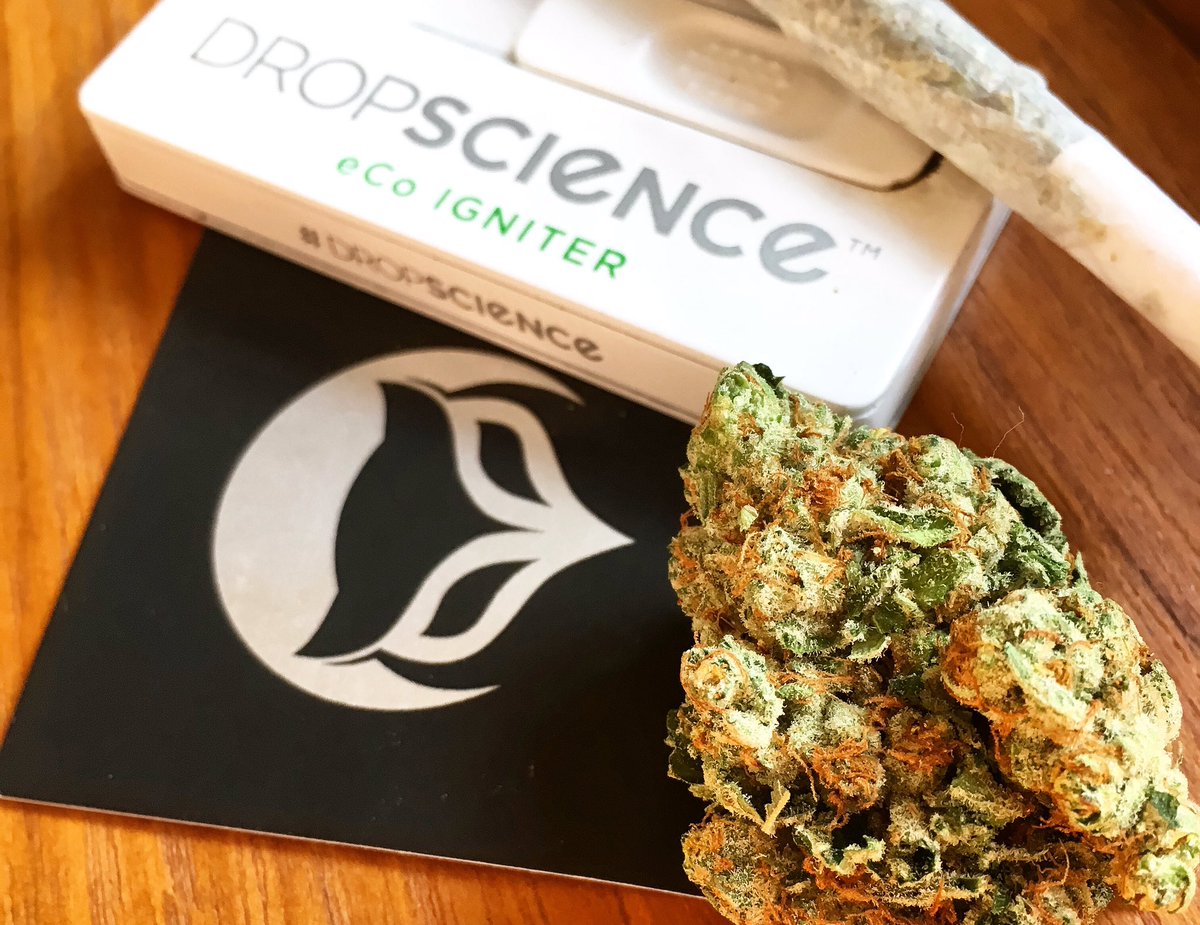 rareheadstash's tweet image. Get lit! #Dropscience #streetwear #skateboarding #swag