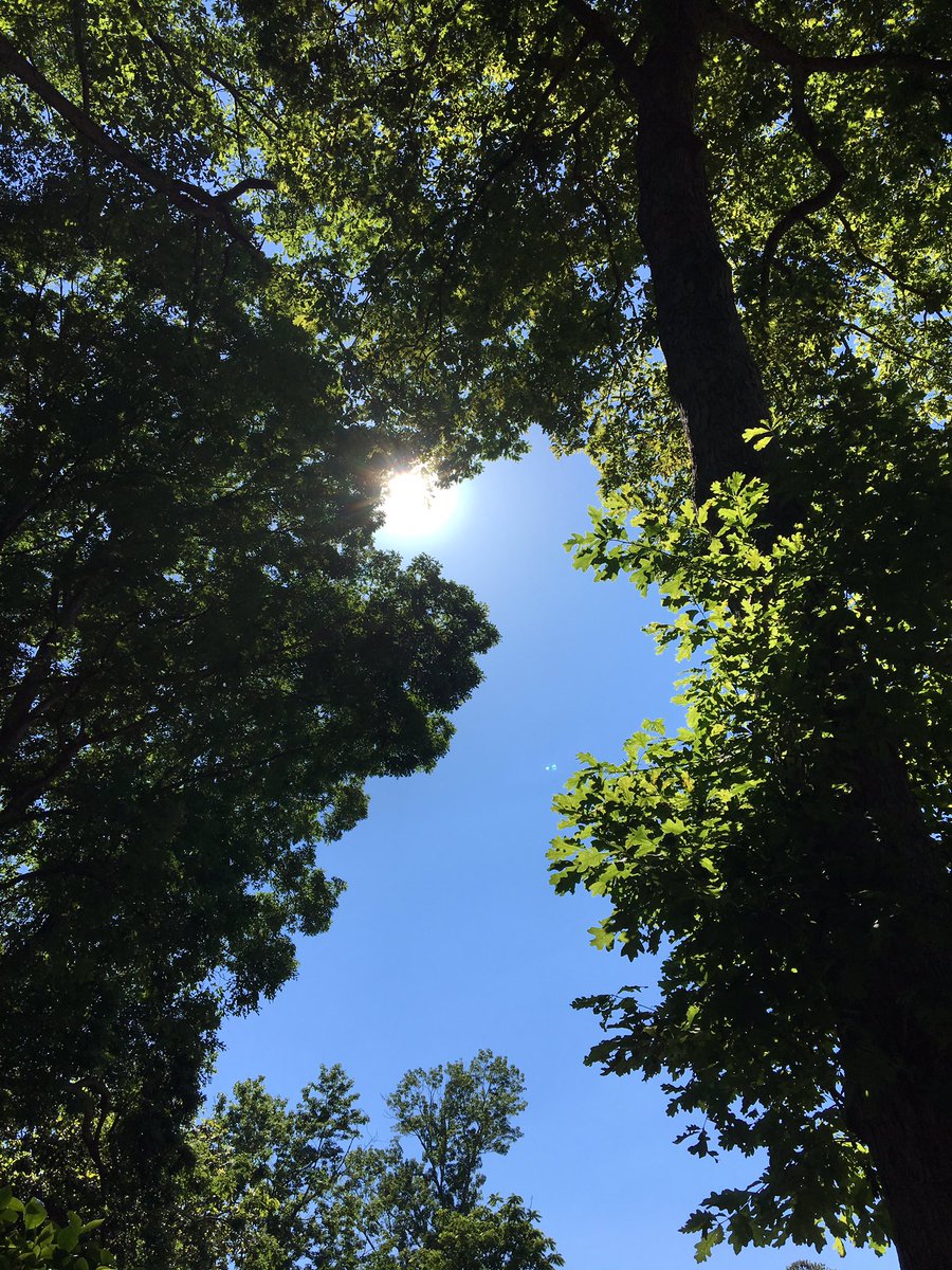 kde3's tweet image. Chilling on the deck. Missing my mom. #happymothersday #byebeautifulmom