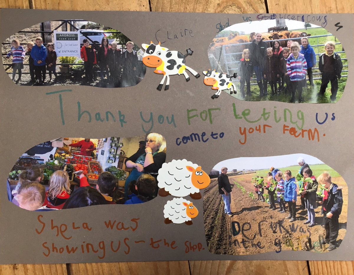 ArdrossFarm's tweet photo. What a wonderful thank you from #Largoward Primary School for their @RHETFife visit last week https://t.co/M6pJEH6PmW