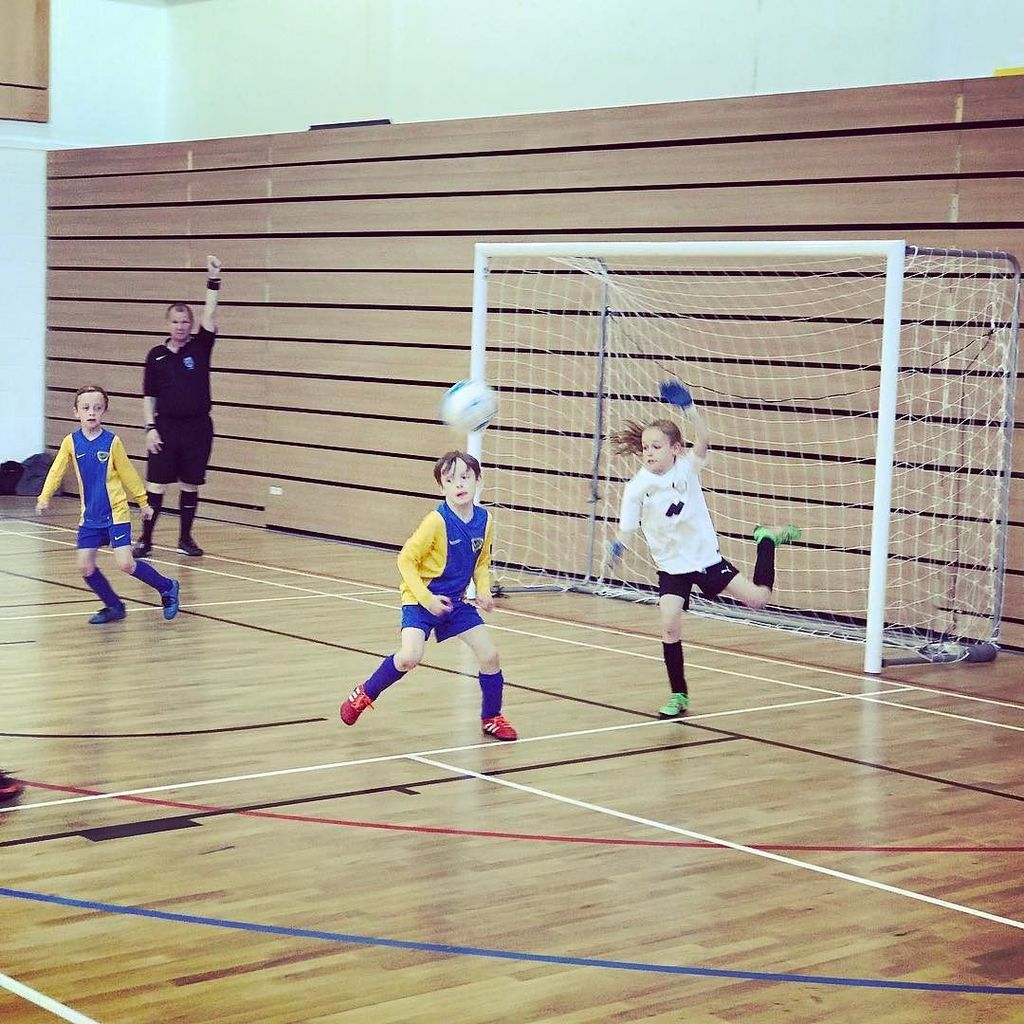 shekicks.it tweet media