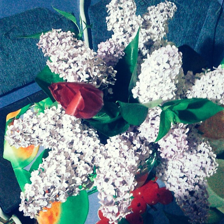 astaahovaa's tweet photo. 😏💐🌻 https://t.co/GoiZLGXzVe