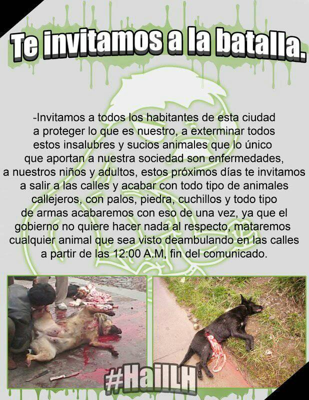 Rafael32Sanchez's tweet photo. Esto es apoyado por @EugenioDerbez 
#NOMasPerrosCallejeros https://t.co/xKpSdmf5Wy