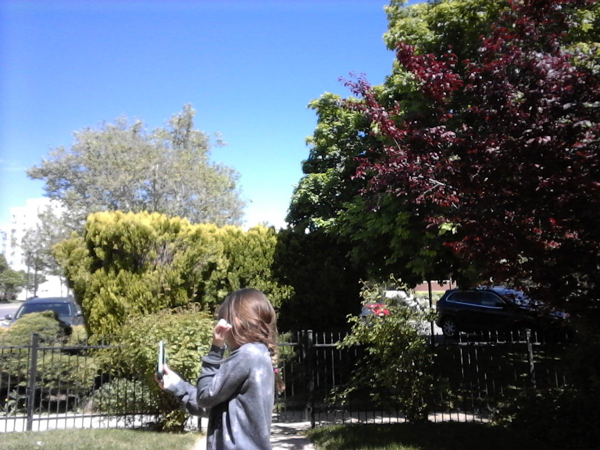 Alina_potato03's tweet image. 