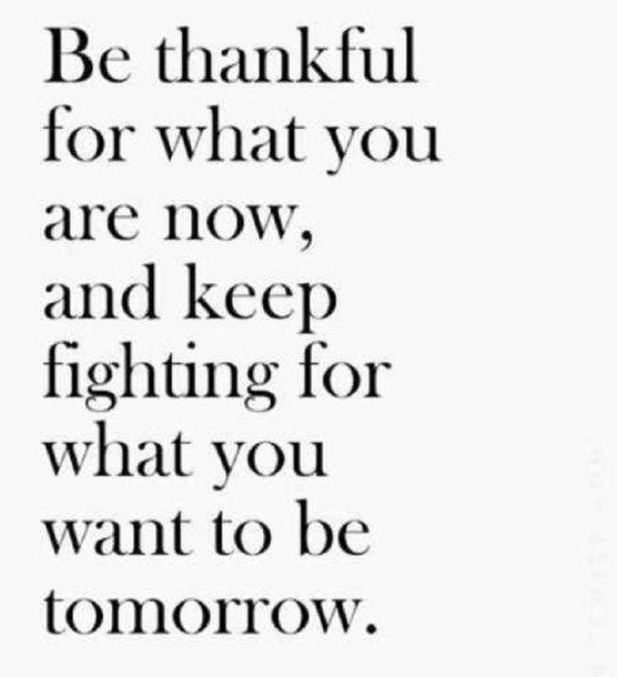 Harris Management tweet media