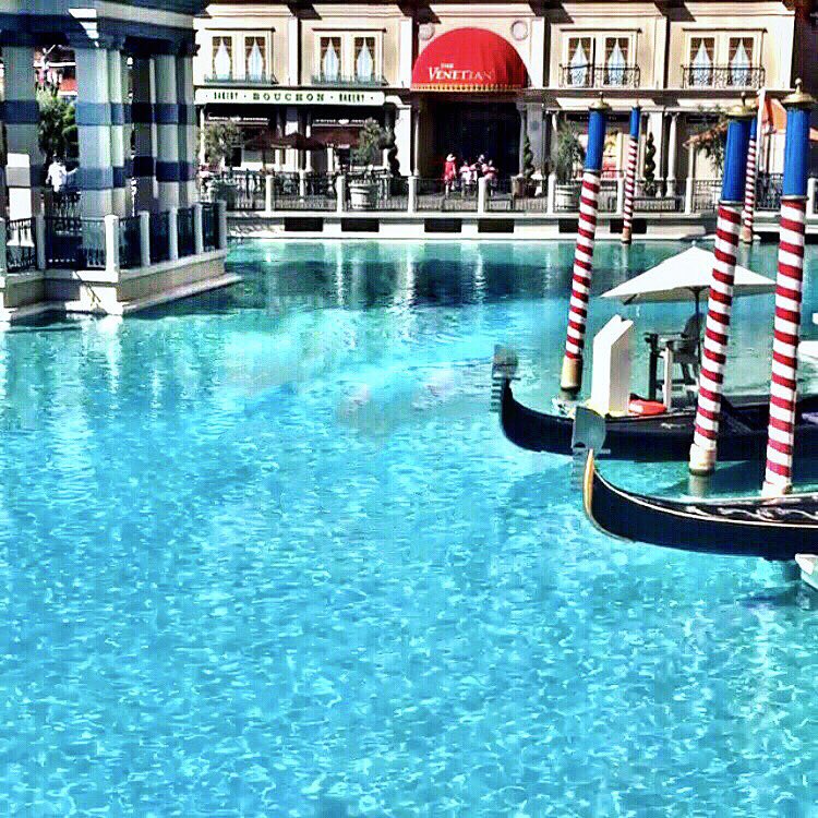 neeenyc's tweet photo. #VenetianLasVegas https://t.co/I20BdAkBQN