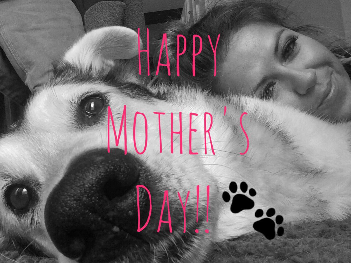 #HappyMothersDay to all the fur (&amp; non-fur) #moms out there!! ❤️🌷🐾 #furkids #lucky #pets #kids #goodlife #okanagan #penticton #dogtreats