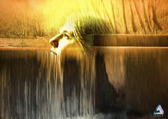 seven_swords's tweet photo. Freedom to fail #art #digitalart #illusyration #pixelsorting #deephayes #weir #water #portrait https://t.co/MlpqeSLNtG