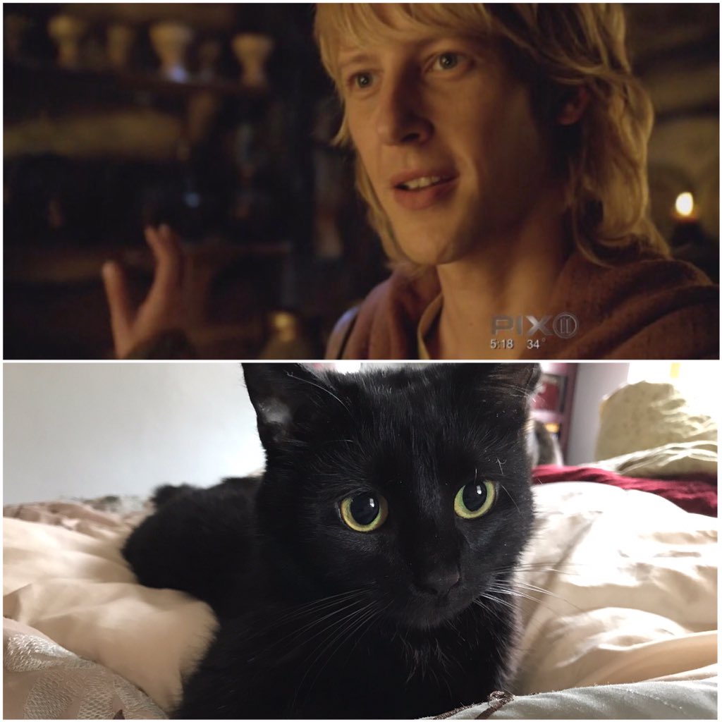  Happy Birthday, young Zedd from this young Zedd!   