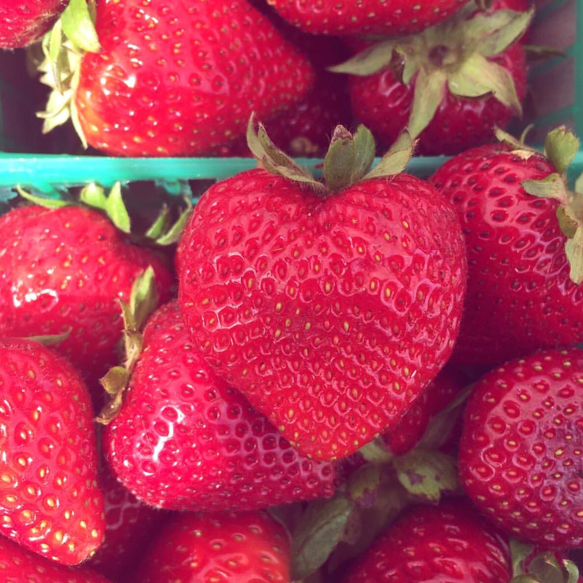 thesourcecafehb's tweet photo. Happy Mother's Day to all the moms out there! ❤️#theArtofNourishment https://t.co/RRoG9HREd5