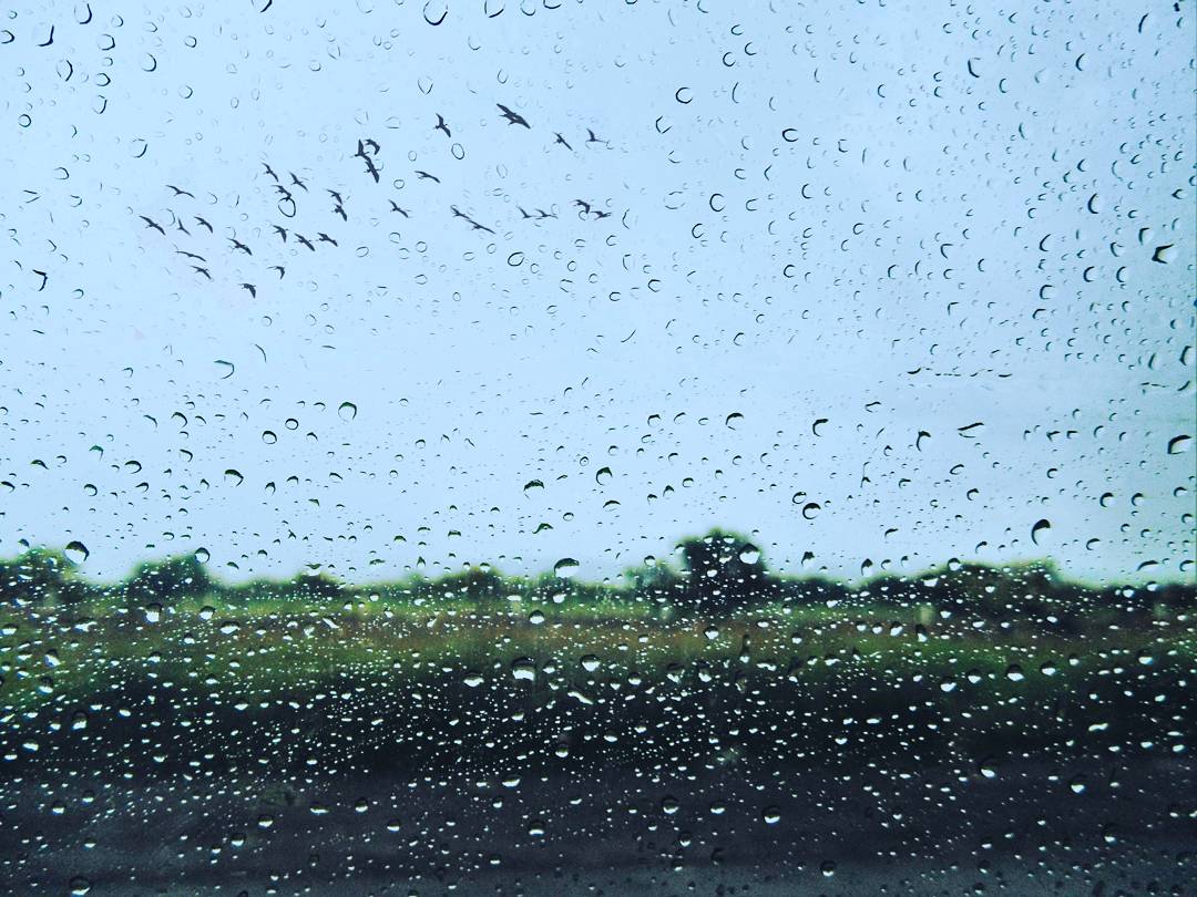 xinalcohol2's tweet photo. Rain drops, drop tops.
#photomx https://t.co/MkjbutfvAj