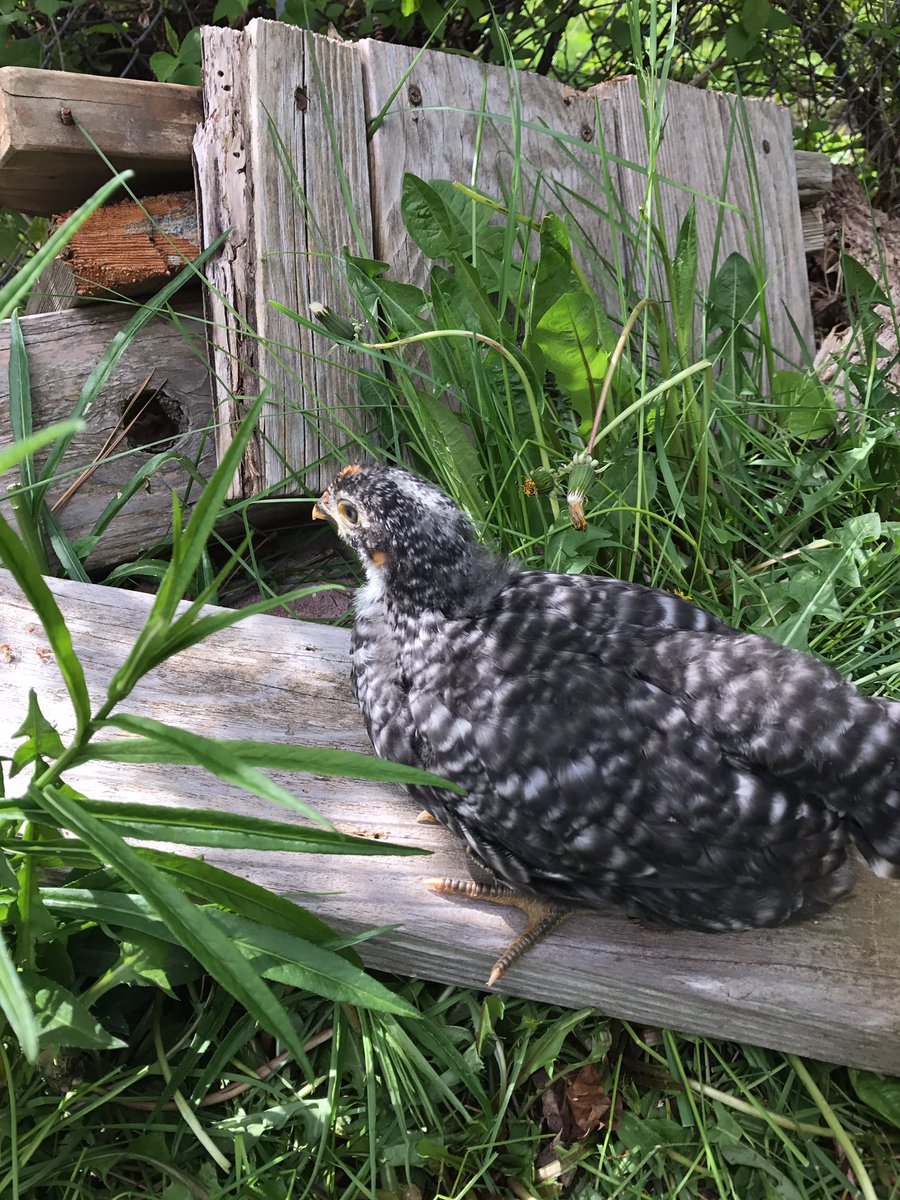 O God, I am not like you
In your vacuous black,
Stars stuck all over, bright stupid confetti.
Eternity bores me,
I never wanted it.