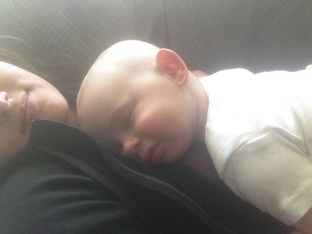 ·T-Rex·  ∞✌️ tweet media