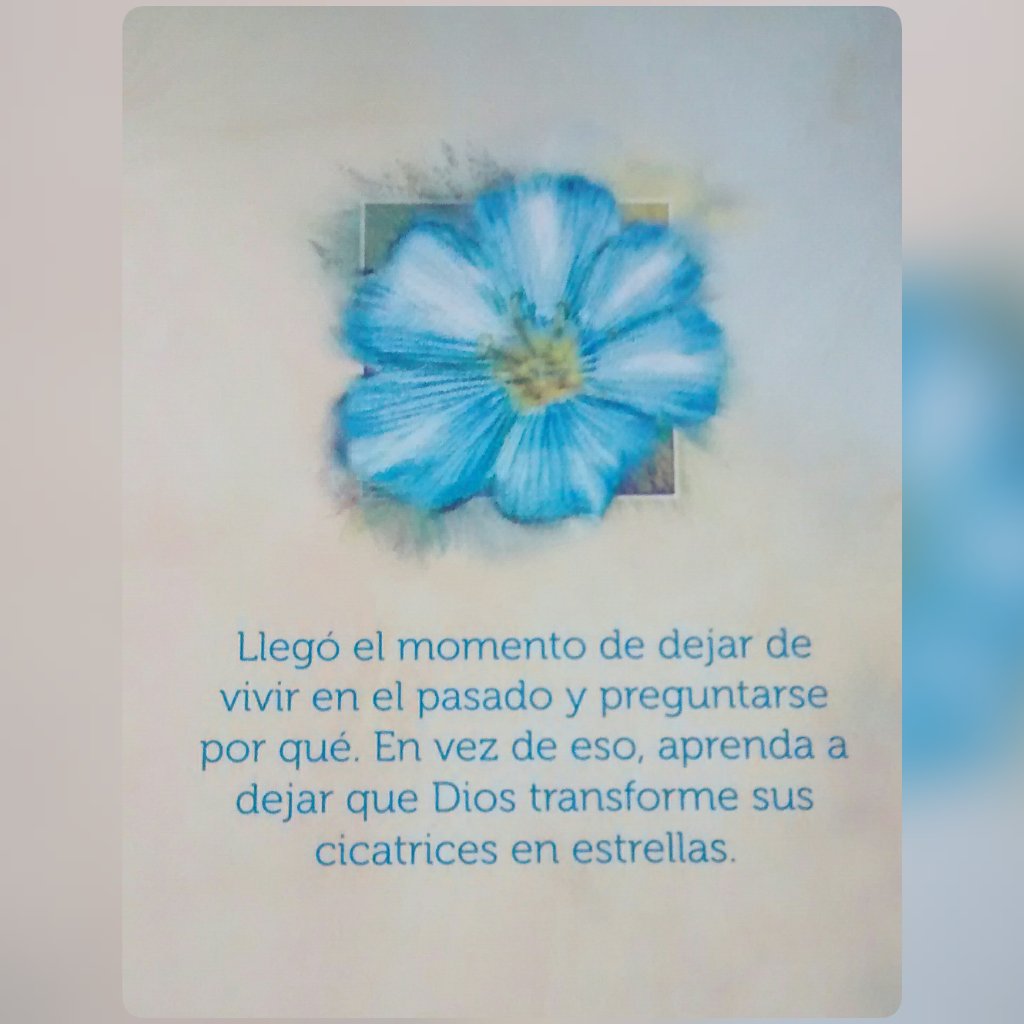 yenny_villa's tweet image. Cicatrices en estrellas🌌🌌 #ElPoderDelPerdón