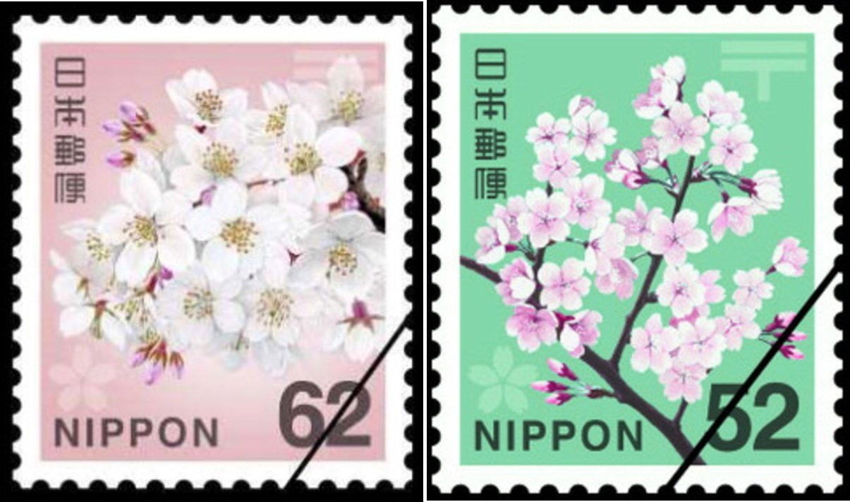 桜切手 - Search / X