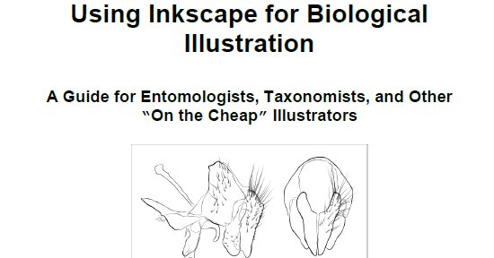 neurosurgical re engineering of the damaged brain and