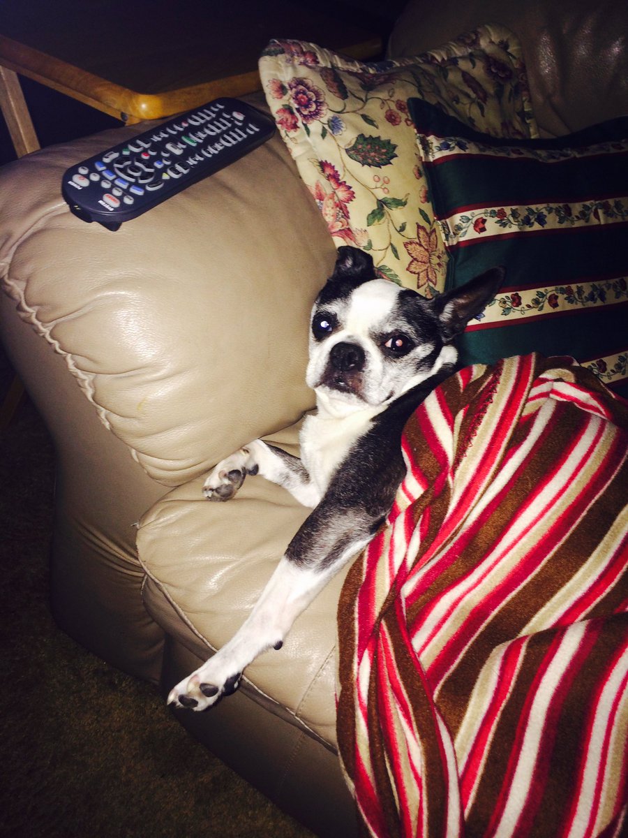 xcolieo's tweet photo. rest easy my pretty babygirl. i love you so much and miss you already. thank you for being my best friend these last 14 years.💔🐶😭💕 https://t.co/L5knrHUiDM