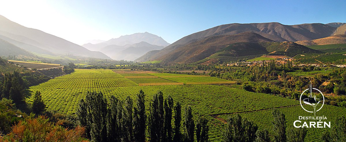 PiscoChadeCaren's tweet photo. El Pisco es la Denominación de Origen más antigua de América del Sur, de Ley DFL 181, del 15 de mayo de 1931
@PiscoChadeCaren @PiscoChile_AG https://t.co/7N3hU58APM