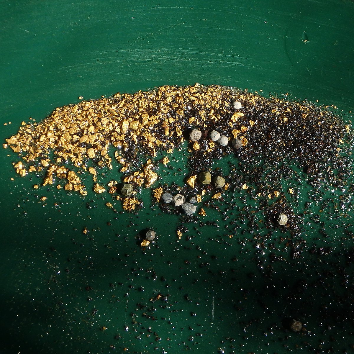 sluicelee's tweet photo. Finally got a chance to #dig some #gold. 3 #miners, 2 #days, and a #pan of that #heavy stuff. #goldprospecting #redbuckeye #heavypans https://t.co/spgJoJ4Mfd