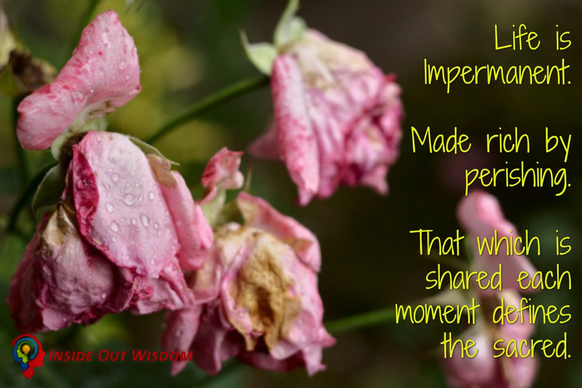insideoutwisdom's tweet image. Life is impermanent.  Made Rich by perishing. Each moment sacred because of what's shared.