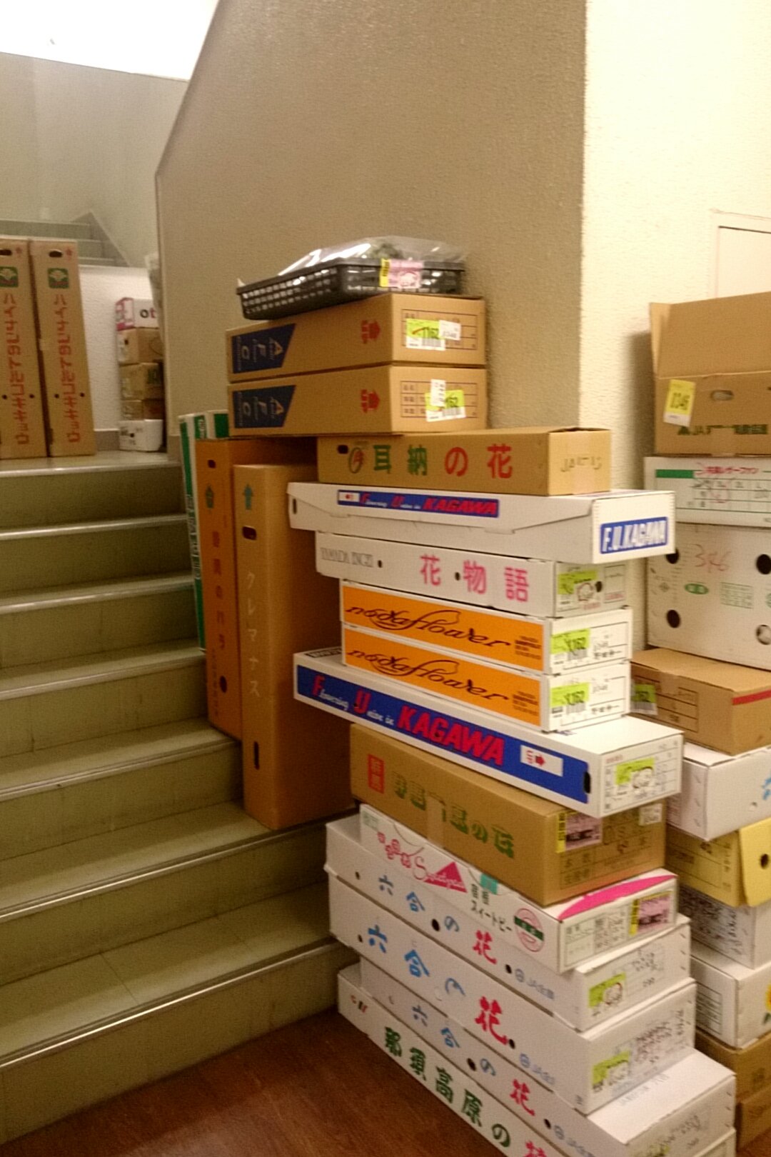 東京テクノ・ホルティ園芸専門学校【入学願書 受付中】 on Twitter