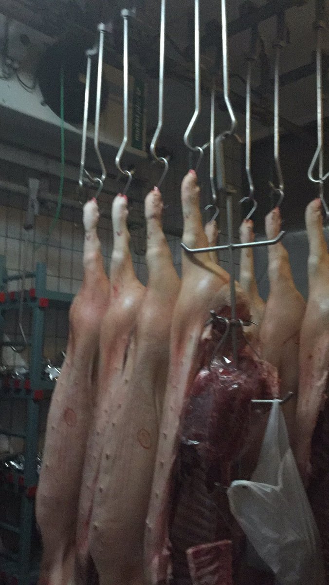 Hoppa kee mijn #dag van de slager is weer begonnen#het is weer maandag #genieten #schijndel #koffie 😀#ambacht