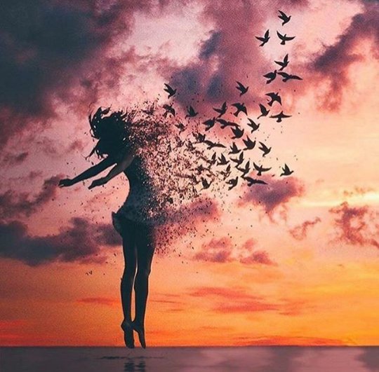 anIluBo's tweet photo. Y abrazame otra vez libertad ! 😍 https://t.co/JjdDMC8fF8