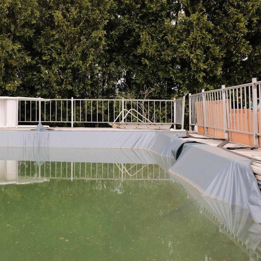 mkurkowski's tweet photo. The Neglected Swimming Pools of Eastern North America: A Guide to Field Identification https://t.co/zzjy08XctY https://t.co/PMJ44KAxoN