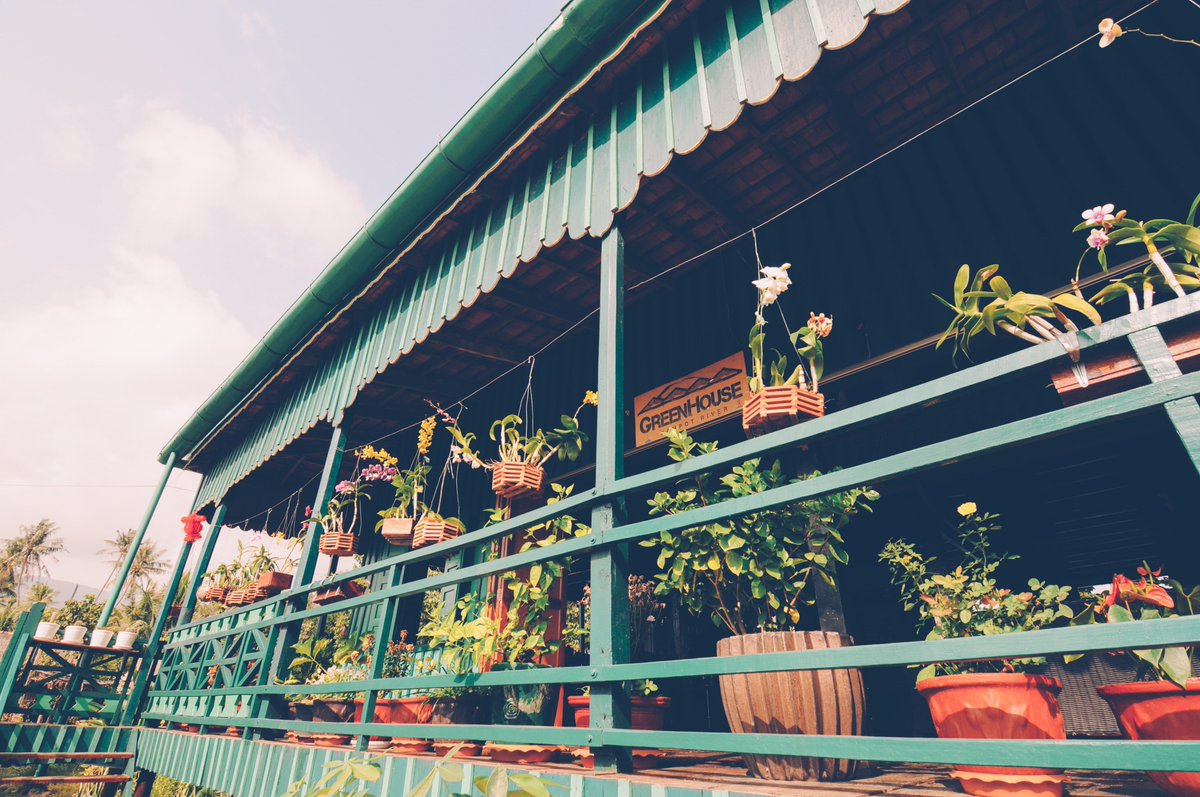 2passeports's tweet photo. Chilling à la Greenhouse de Kampot au Cambodge. #voyage #cambodge #kampot #greenhouse #bungalow https://t.co/KMXK2JuPKi