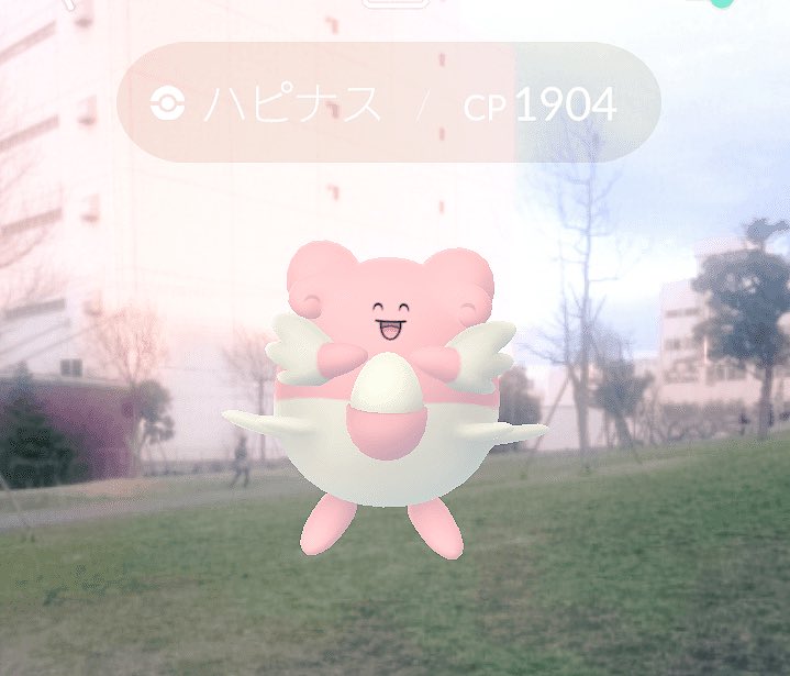 Taka Tl46 ポケモンgo東京 Sur Twitter ハピナスの好きな所 かわいい Hpが化け物級 防御の種族値も高い 最大cpが6位 3173 溢れ出る母性 見てるだけで癒される 弱点がかくとうのみ 覚える技が優秀 防衛にもアタッカーにも使える そして かわいい ポケモンgo