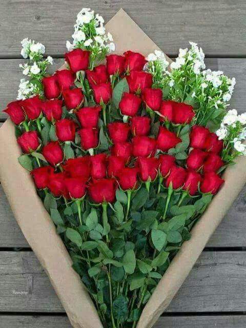 İmandan sonra en önemli AHLAKTIR.
Rabbim ahlakımızı, kişiliğimizi güzelleştirsin inşallah. Tüm dostlara Hayırlı huzurlu sabahlar  diliyorum.