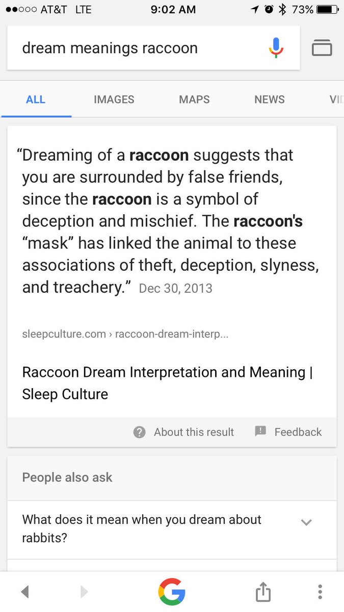 fanseeFree's tweet photo. Had a dreams about raccoons so I googled it... https://t.co/yQgKa6ejLu