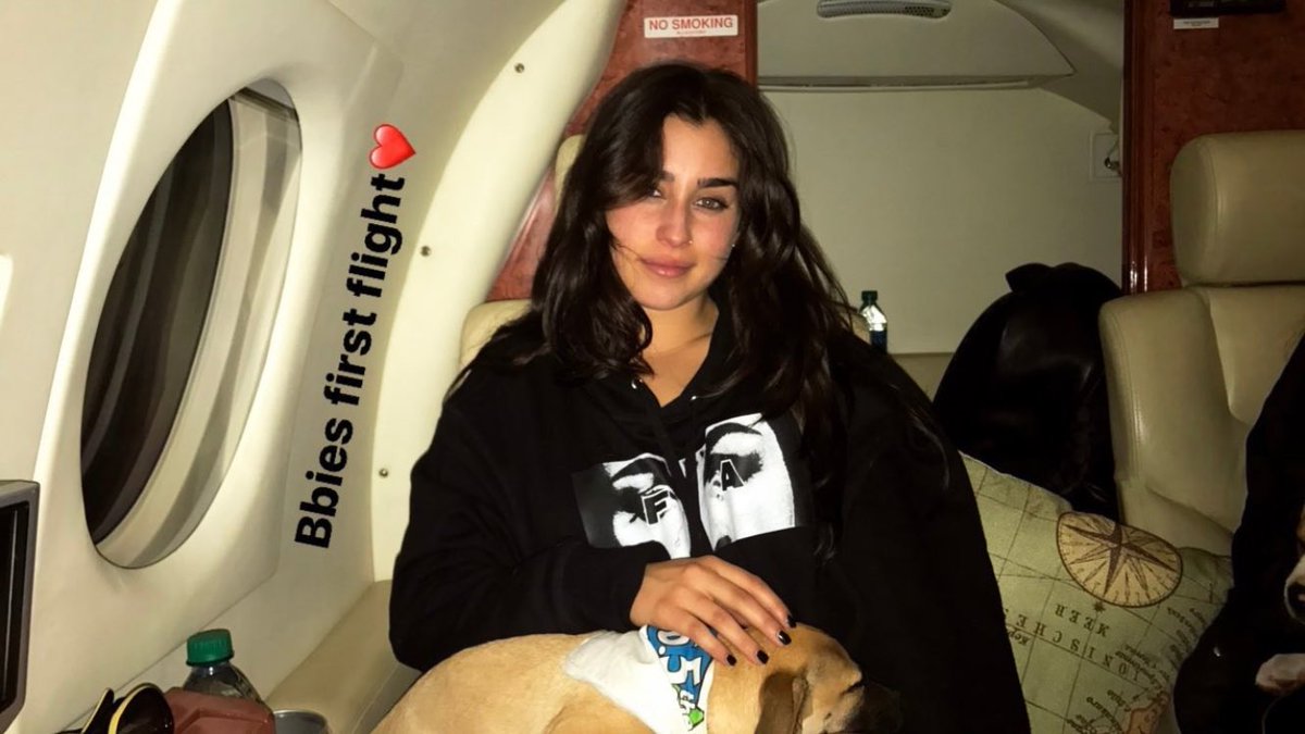 milesdefix's tweet photo. Aaaah, Lauren e Normani com cachorrinhos que adotaram no evento. 😍 https://t.co/IuVemCwwyw