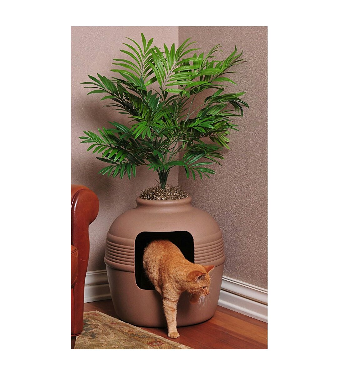 palm tree litter box