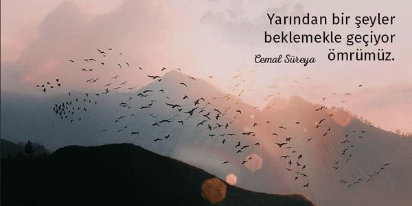 Yarından bir şeyler beklemekle geçiyor ömrümüz.

Cemal Süreya