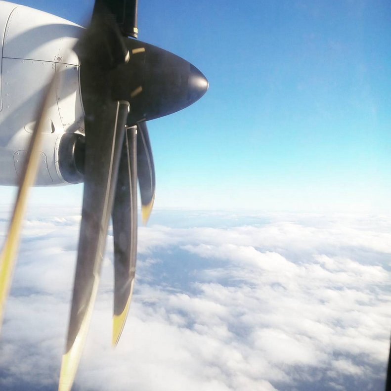 Canaryfly_'s tweet photo. Comenzamos la semana volando en armonía por el cielo de #Canarias ✈️ #LosGallosLosDejamosParaEurovisión  🐓 🤣
📸 Lidia Bonilla (IG) https://t.co/WX4S5YekXp