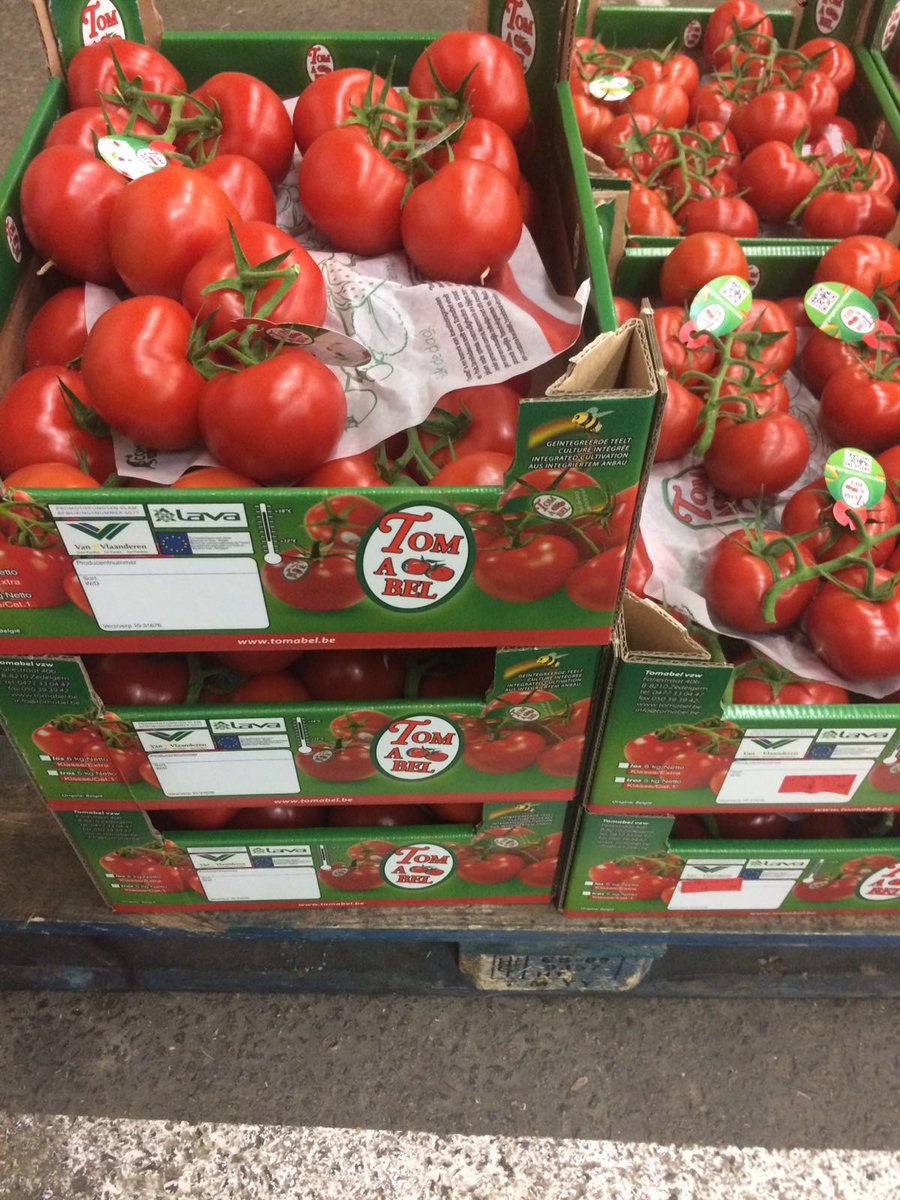 ExportGst's tweet photo. Fantastic #Vinetomatoes from our friend in Belgium, #Tomabel.👍Just Quality!!!!🍅🍅🍅🍅🍅🍅🍅🍅🍅🍅🍅 Ask for price in a private message! https://t.co/2759EHiwoh