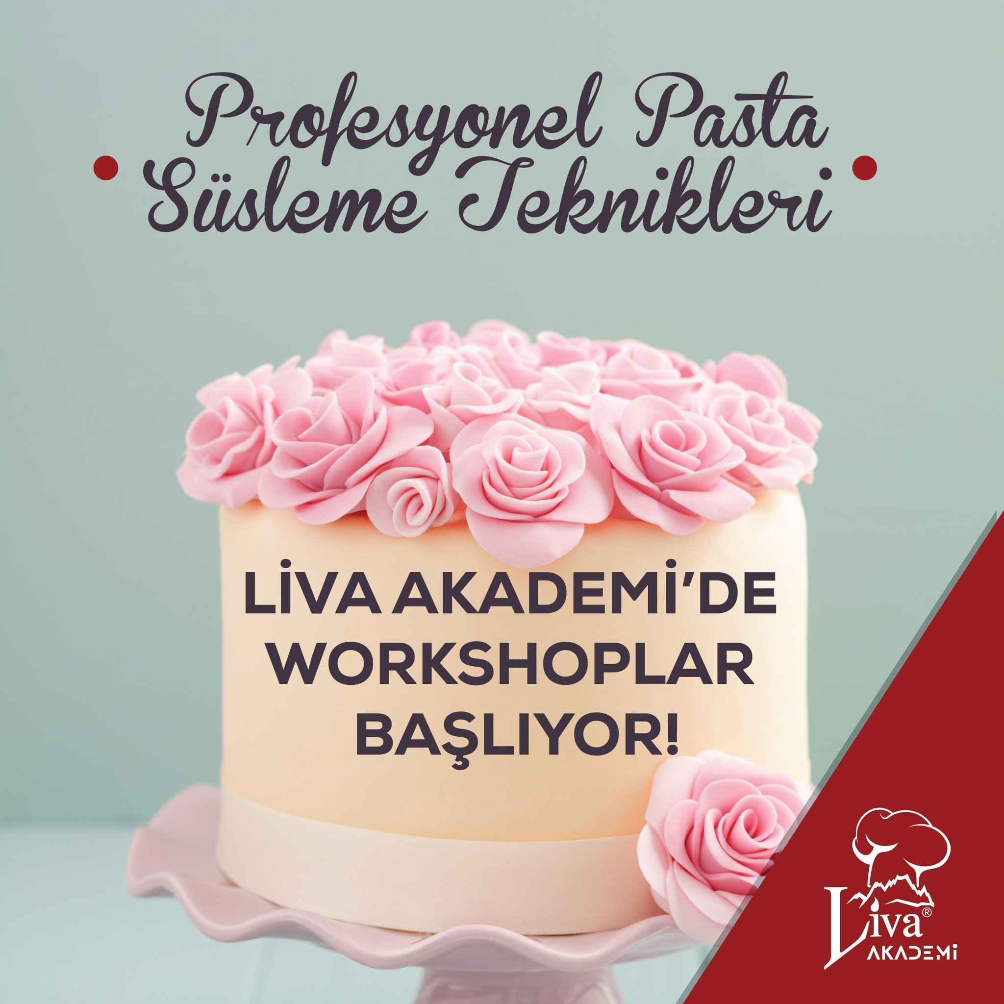 Liva Penguenli Butik Pasta Dogum Gunu Pastalari Nice Yaslara Dogum Gunu Pasta Ve Dogumgunu Pastalari