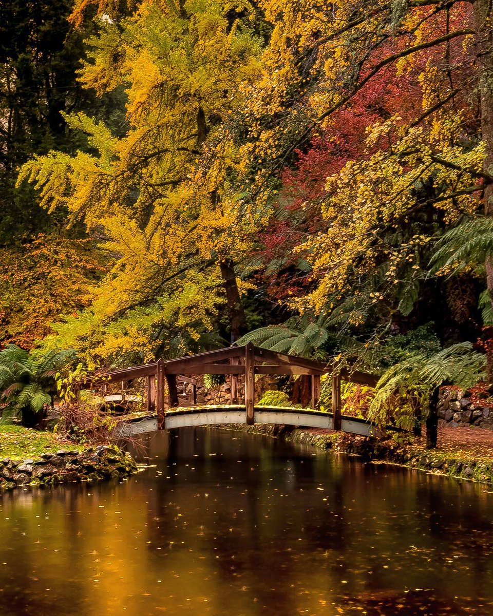 Melbourne's tweet photo. Those autumn colours in the Alfred Nicholas Gardens (via IG/deborahhunterphotography) https://t.co/yvlhFOiWq7 #wandervictoria https://t.co/hZIFiKSjfW