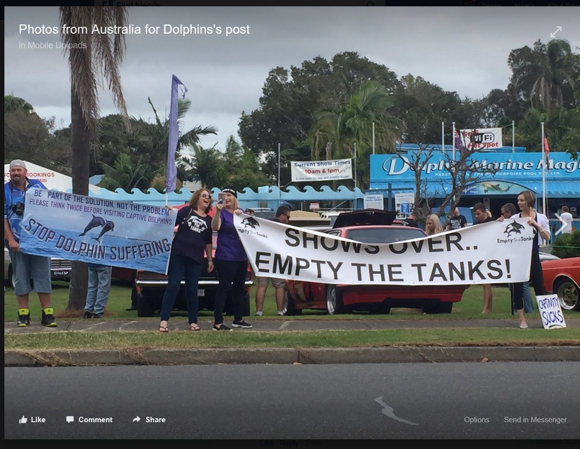AIMRwildfree's tweet photo. Thanks so much to everyone who came down to #Emptythetanks in Coffs on Saturday :) what a great day &amp; a lot of support for the dolphins! https://t.co/HIVglutu0v