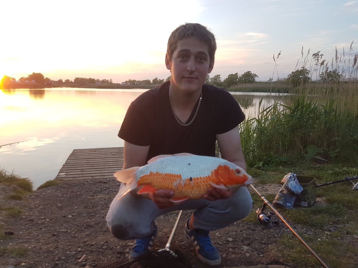 bait crazy ryan tweet media