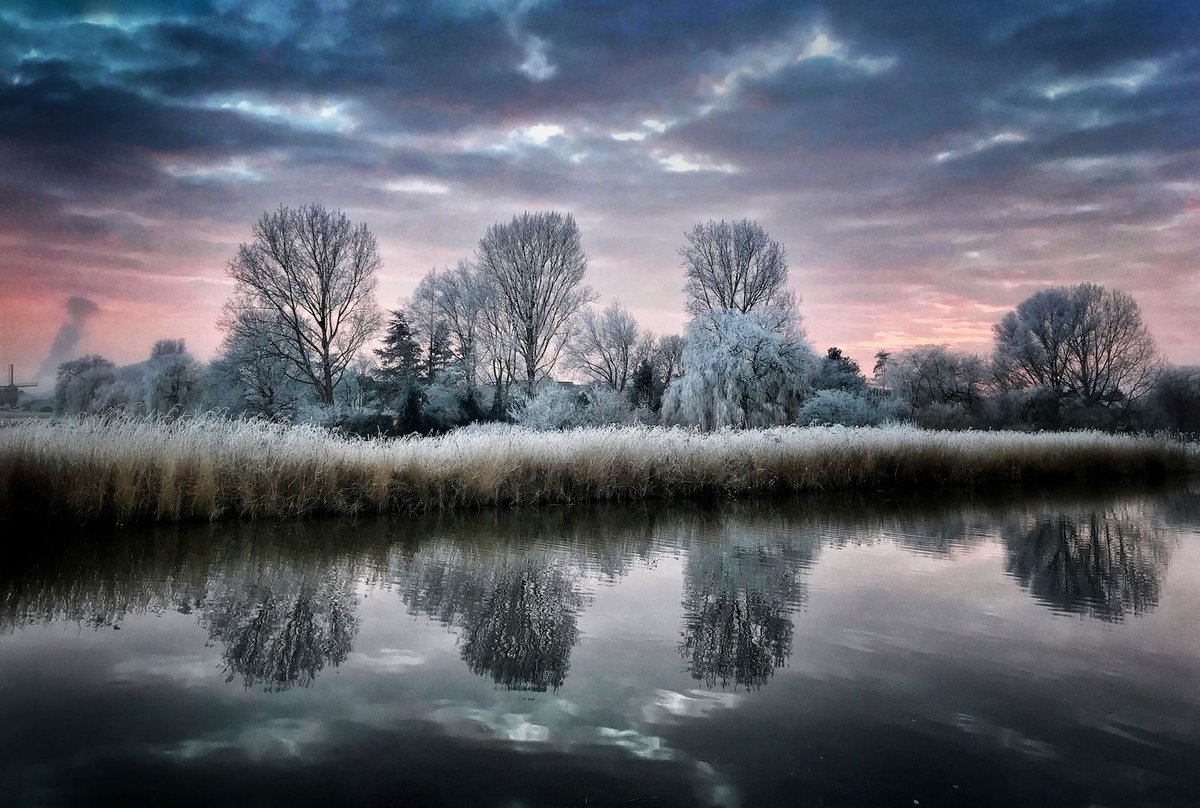 AnneScottlin's tweet photo. ❦Black and white is never just black-and-white.~AS
#worldcitizen #sunrise #frost #nature 
#Photography Peter van der Waard https://t.co/Fkv9UeTPk6