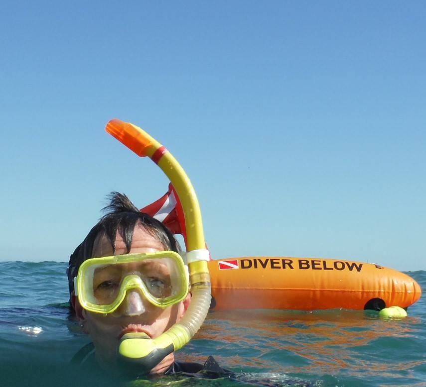 SelseyWalkFest's tweet photo. Two events for half term week. Discovering Marine Life and Snorkelling. @MulberryDivers #selsey #beach #selseywalkfest https://t.co/zJiR3lyyfe